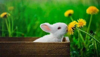 下个“战场”已定下，美国突然对华下禁令，不许中方抢先一步