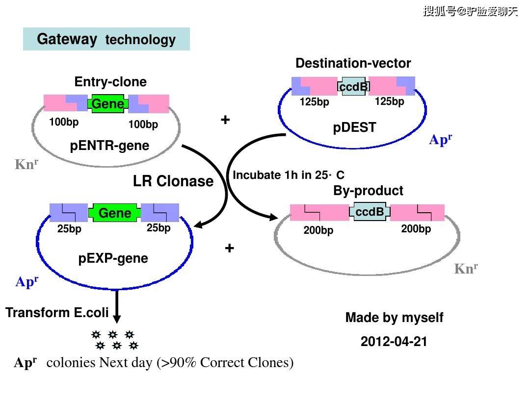源代码加密软件|源代码怎么加密防泄密？2024十款好用的源代码加密软件