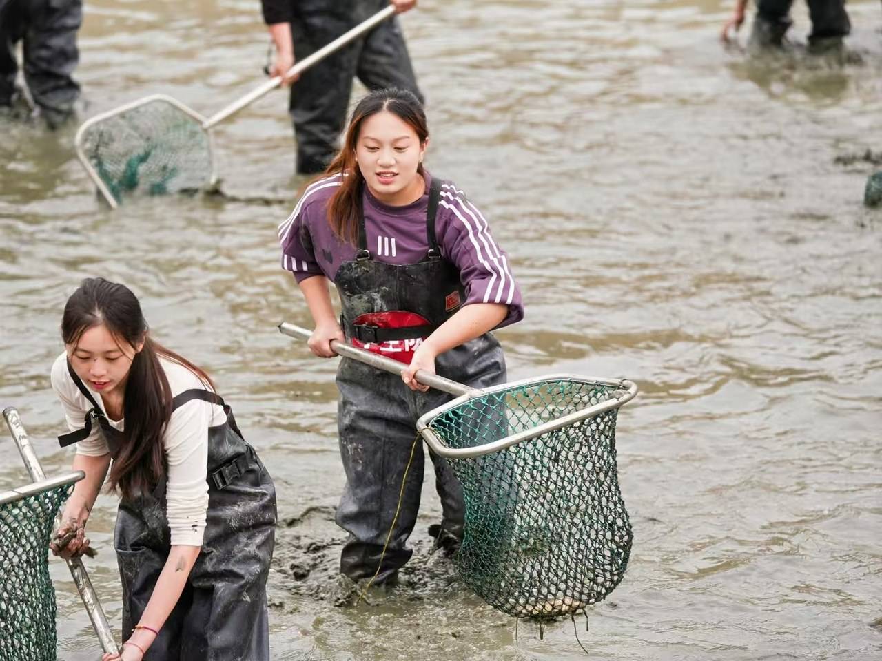 太治愈了！浙江高校师生今天集体“摸鱼”，现场还熬起大锅鱼汤