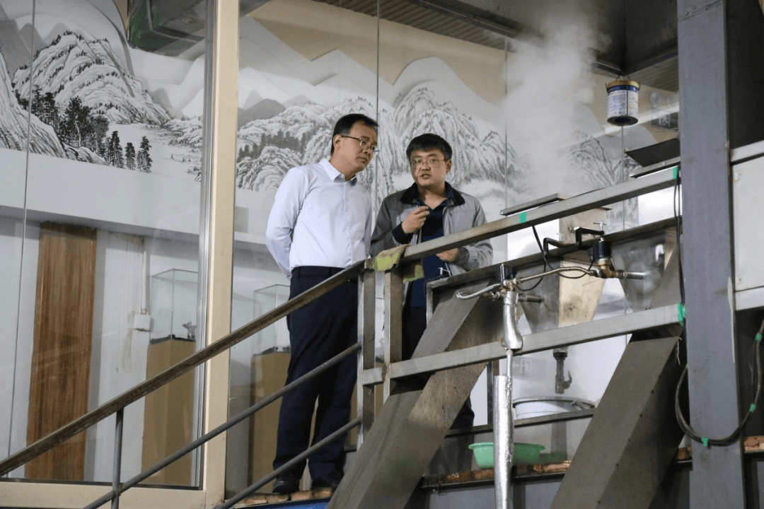 咸阳市食品药品检验检测中心主任吴小勇一行到泾阳县调研茯茶产业发展工作