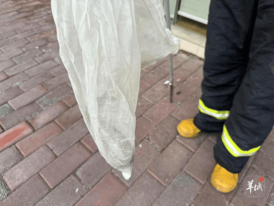 广州一小区蛇患频发:已抓超60条但未探测到蛇窝位置,多方介入