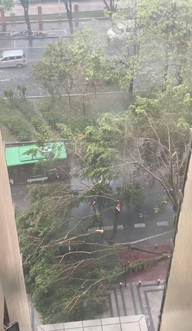 广东强对流致部分高铁航班受阻，今明两天局地有大暴雨阵风或达12级