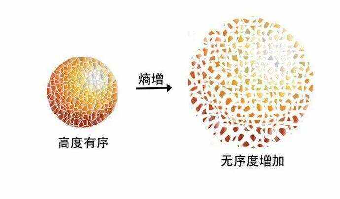 熵虚拟币(虚拟币slp)