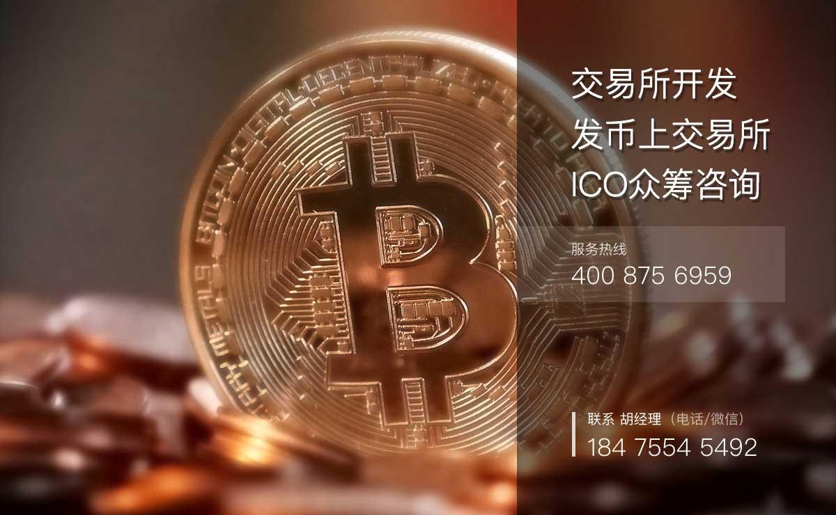 虚拟数字币(虚拟数字币U)