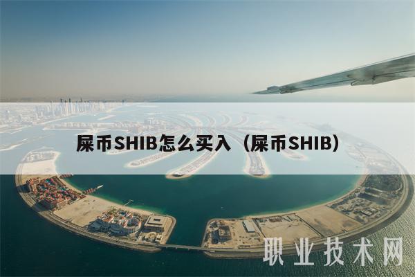 虚拟币地址(虚拟币地址能查出对方信息吗)